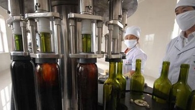 カスタマイズされたワインの充填機/ワイン・ボトルの装置/ワイン・ボトルの注入口